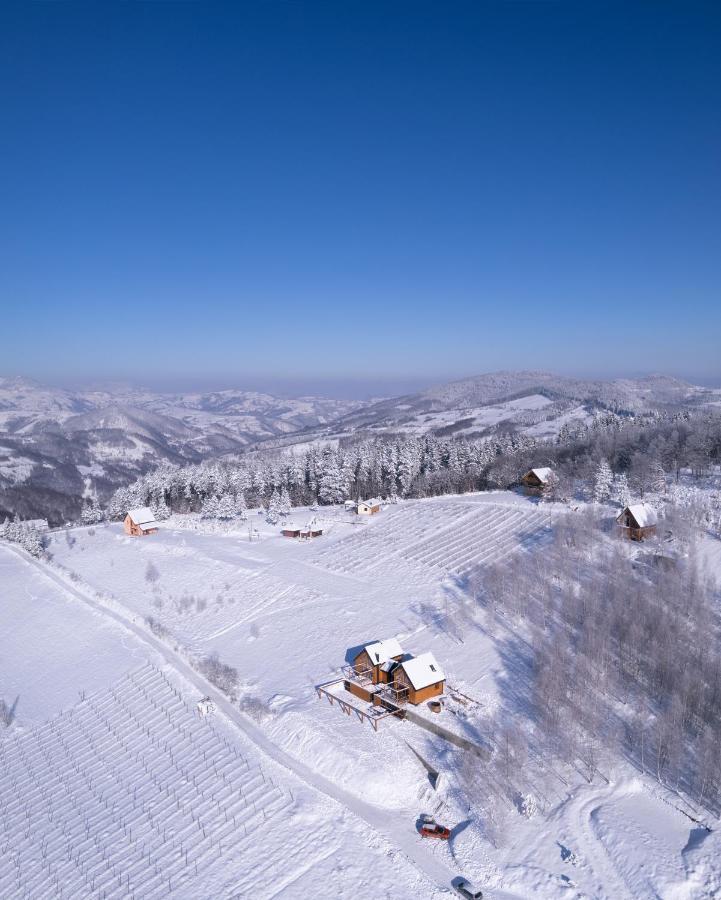 Cortina Resort Ivanjica Bagian luar foto